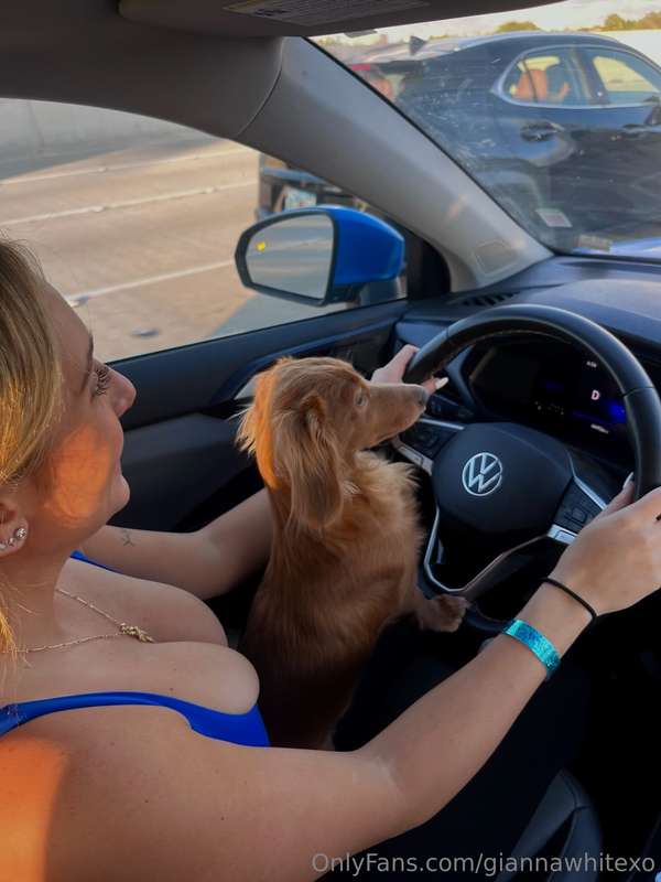 Drove with Ms. Daisy 🌼