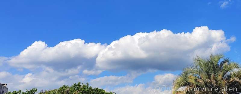 Cotton candy 1