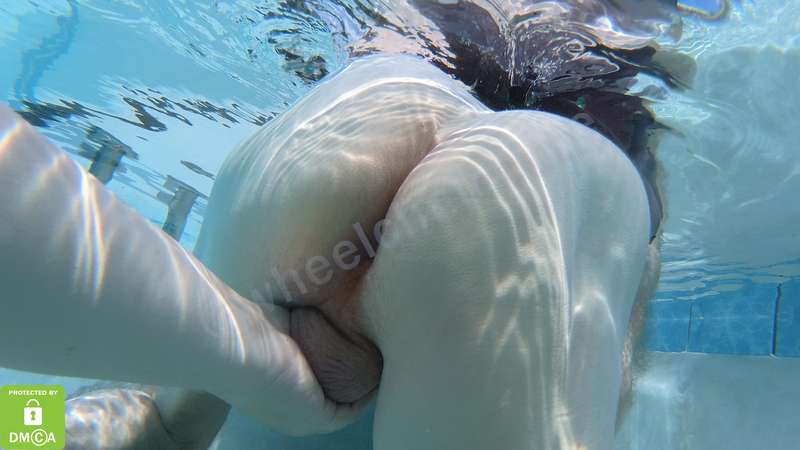 Wheelchaircutie - Fansly - 19 Aug, 2022