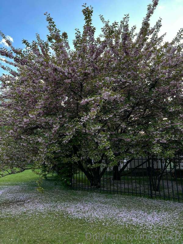 I love summer, including the fact that flowers and plants ri..
