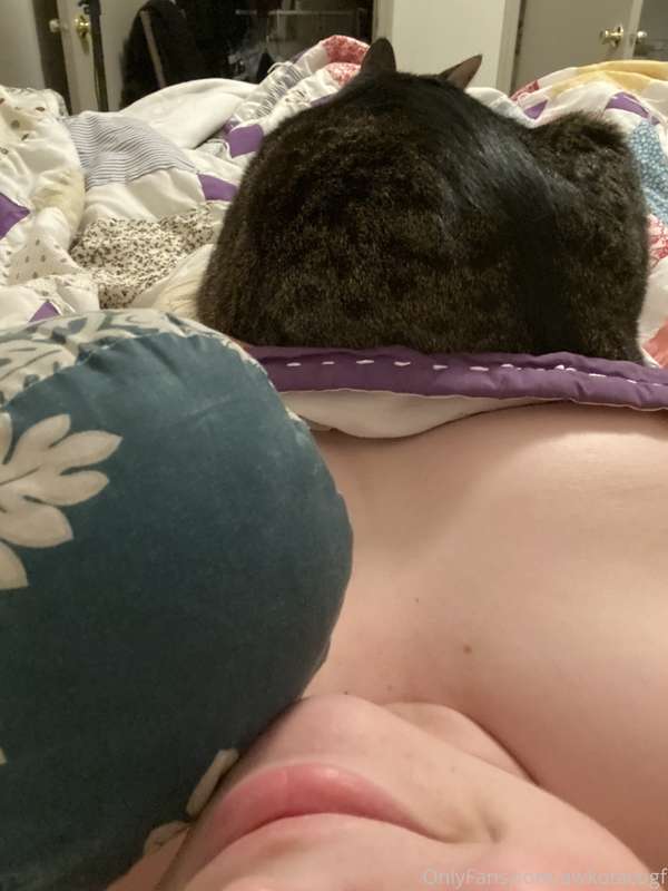 Apparently I am comfy. Wish you were here to join me in my c.. 2
