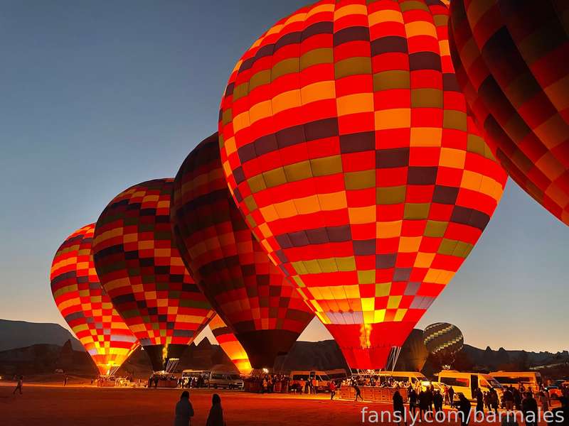 Barmales - Fansly - 03 Dec, 2022
