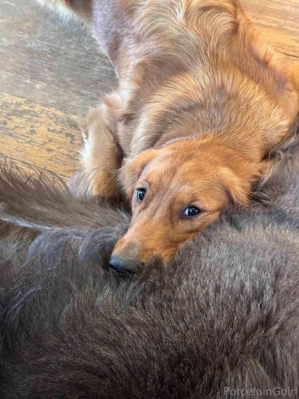 The moment Gaia hears that chip bag noise