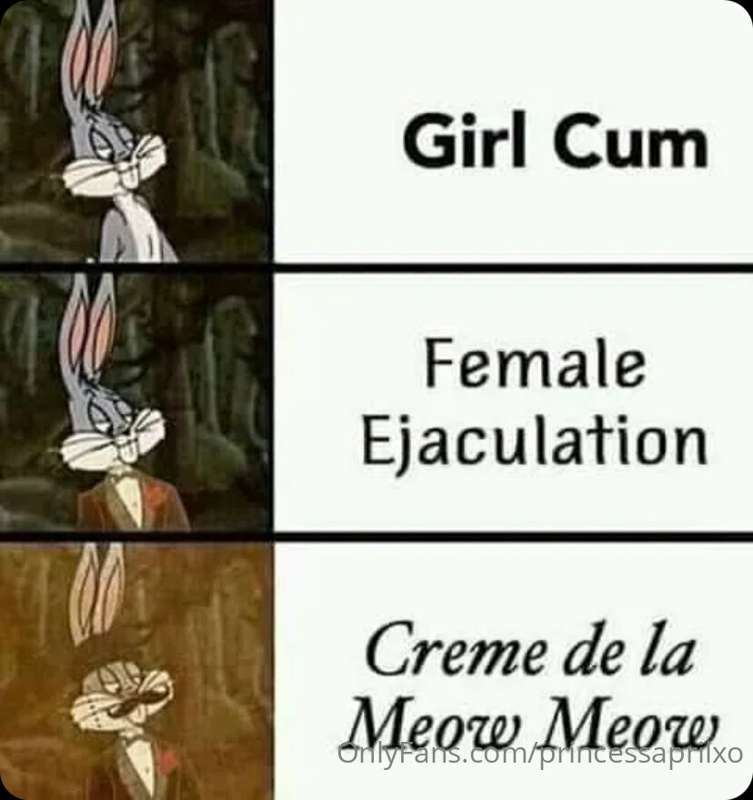 Todays meme 😹