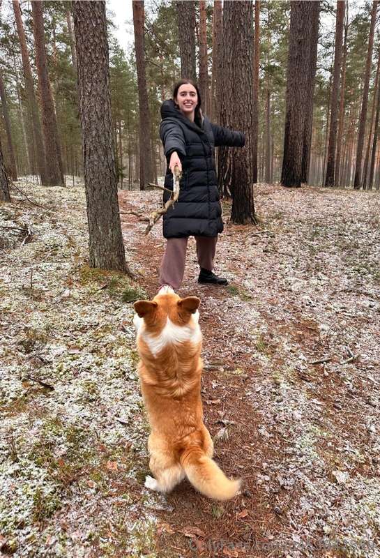 Went for a walk with the dogs today and found some awesome s.. 4