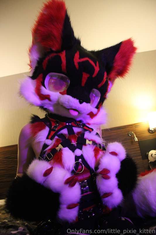 Koji pics in the hotel! ♥️🖤🤍 11