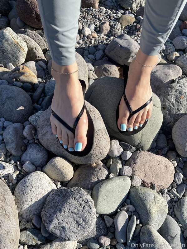 🌊 6