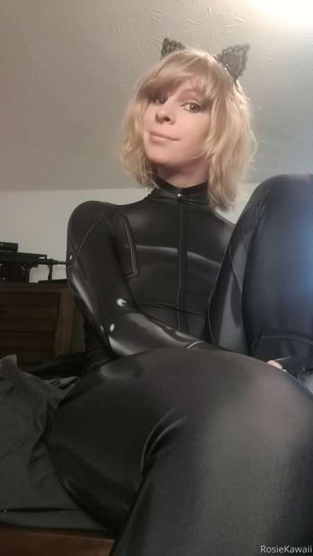 cat noir set 1/4 x :3 4