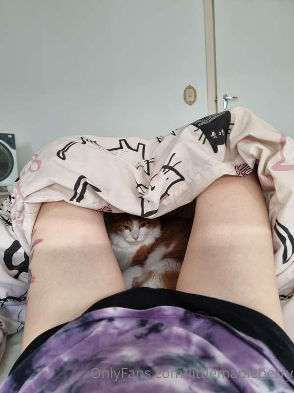I've had a lot of new subs recently so I just want to make y.. 2