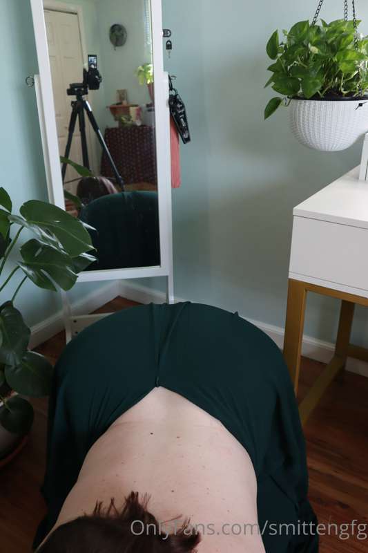 🪴 🌱 plant mommy 🌿 🌾 19