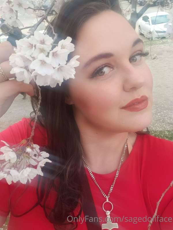 Did pictures with cherry blossoms today- goodness they are b..