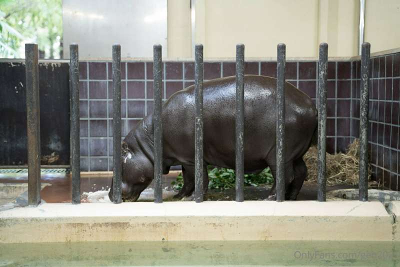 もう３年近く前かー、東京行きたいな～
ちなみに一枚目の写真成田なんですが、豪雨の時だったので成田難民になった時のですｗ
.. 16