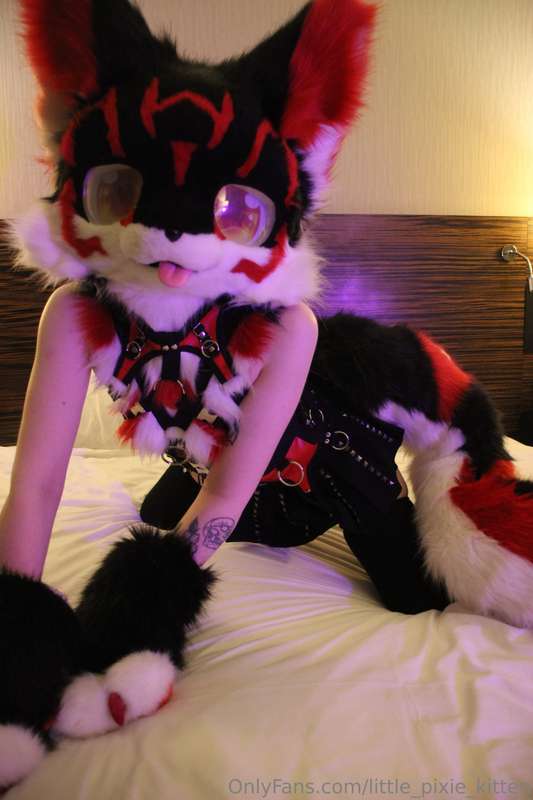 Koji pics in the hotel! ♥️🖤🤍 9