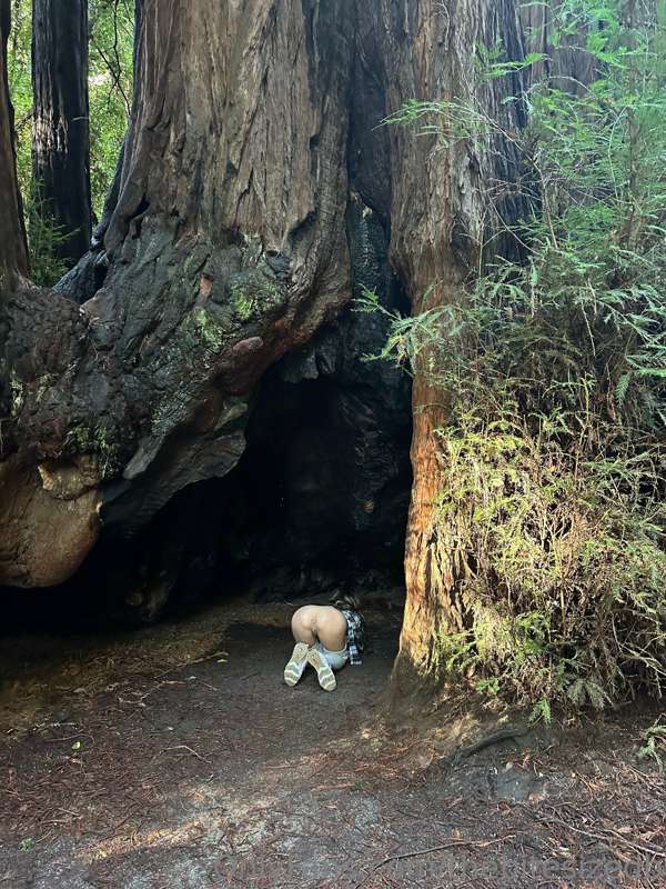**Who wants to live in this tree with me? 😂** ***Creampie nu..