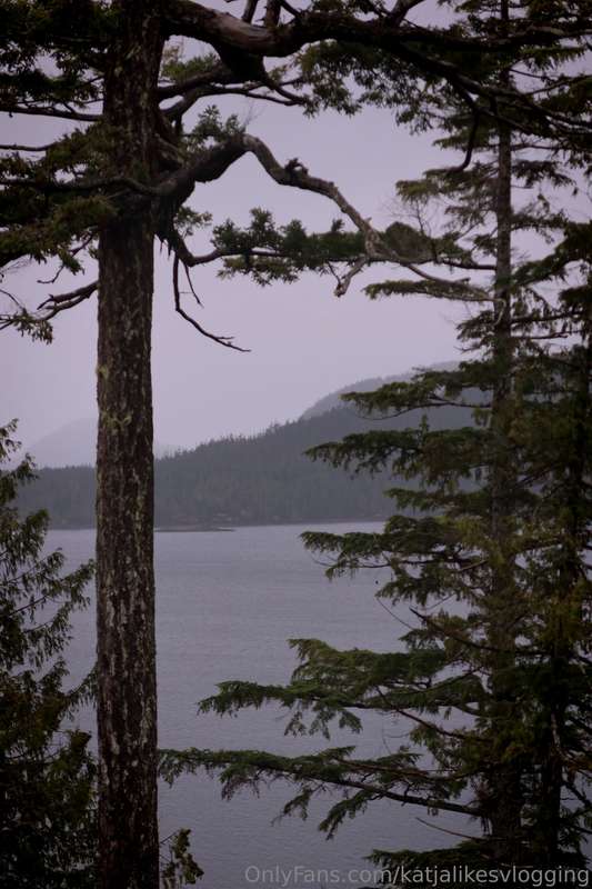 Spent the weekend away and this is what it looked like and t.. 12