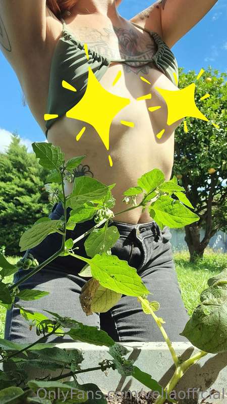 Come pick some grapes with me 🍇