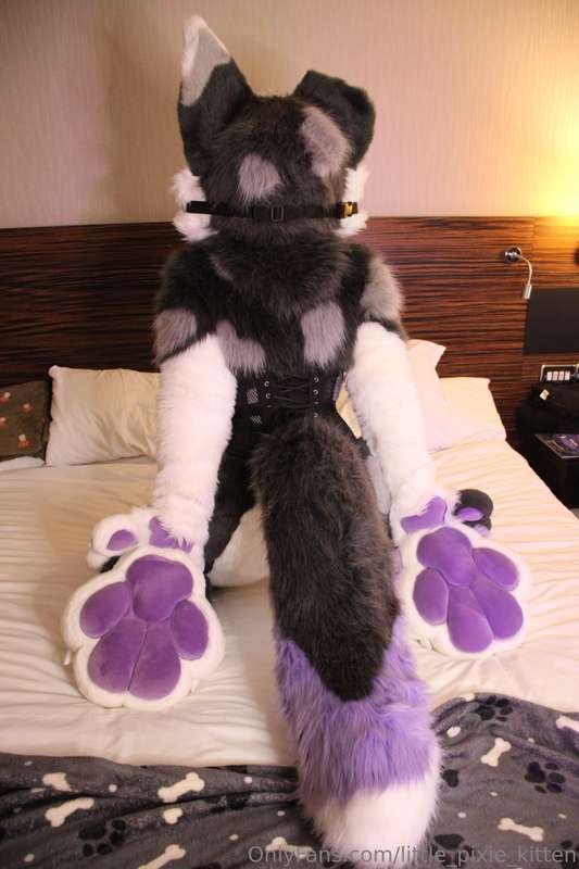 More toe beans 🐾 4