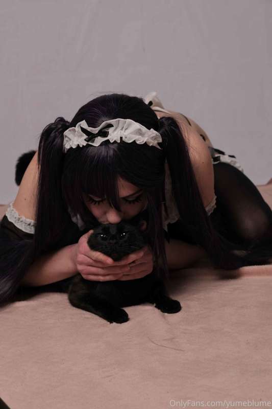 Secret set ✨
Kittys are always by my side 1