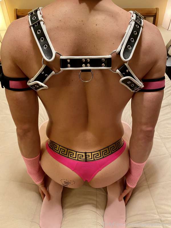 Some Pics From Pup Photo Shoot @unknownvalue03 12