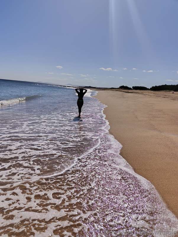 🌊🏝️