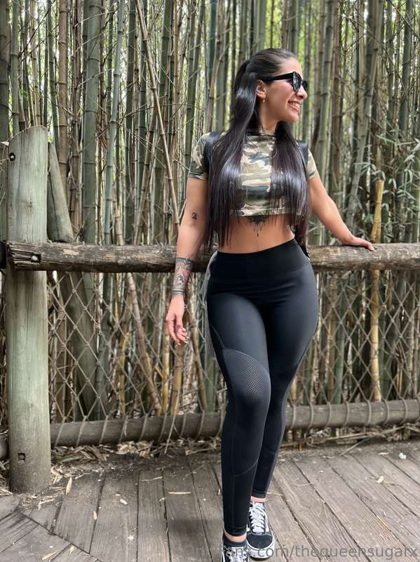 🐯🐆