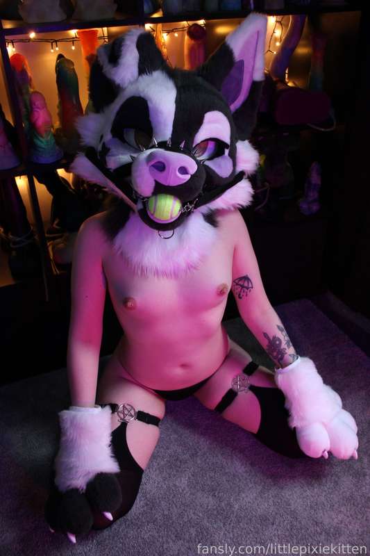 Littlepixiekitten - Fansly - 25 Mar, 2024 20