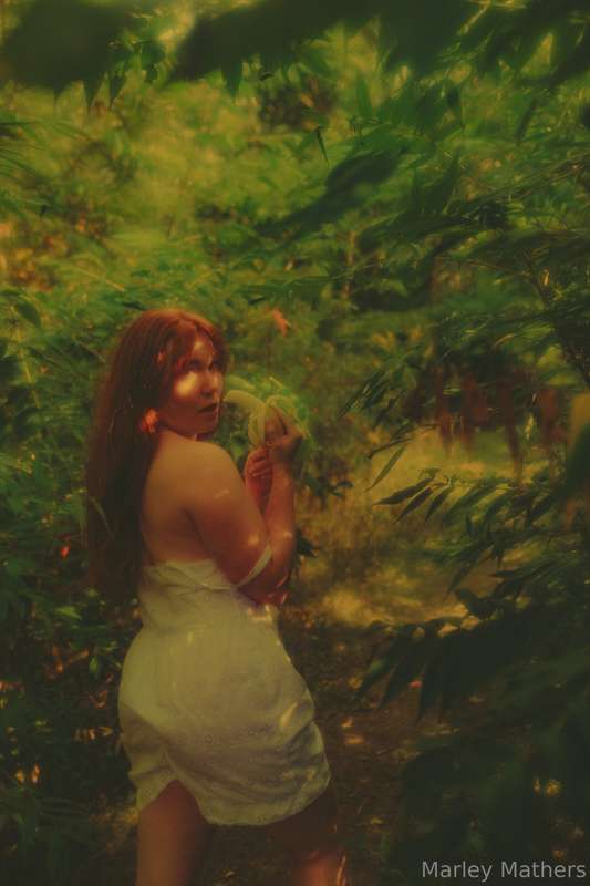 Just a little taste of nature’s sweetness 🌿