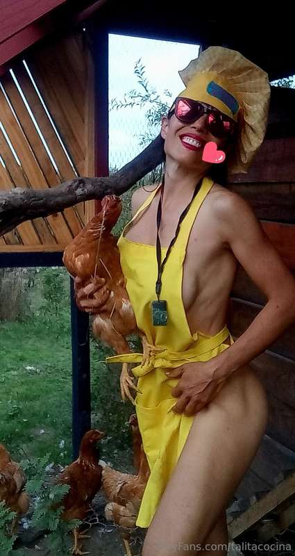 Mis amigas las Gallinas 🐓🐓🐓🐥🐤🐣#lagranjadetalita👩‍🍳❤️ 12