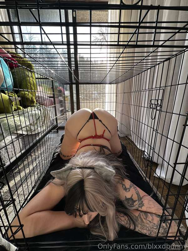 Blxxdbunny - Onlyfans - 22 Jan, 2025 3