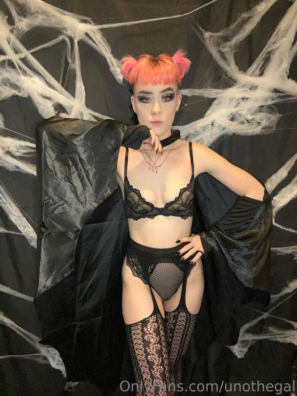 🦇🦇🦇
