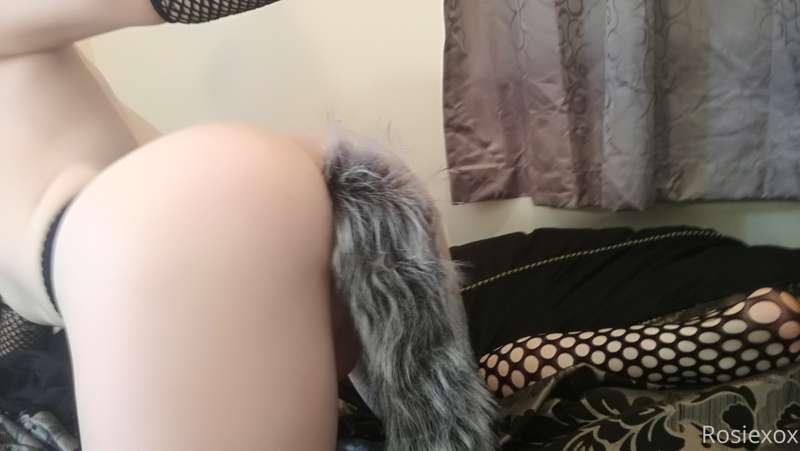 Wolf girl set awooo 4/14x 20