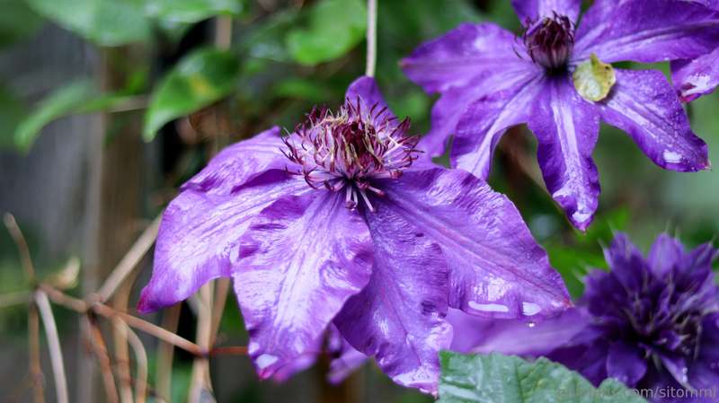 As the cover photo suggests, today I have just a few boring .. 6