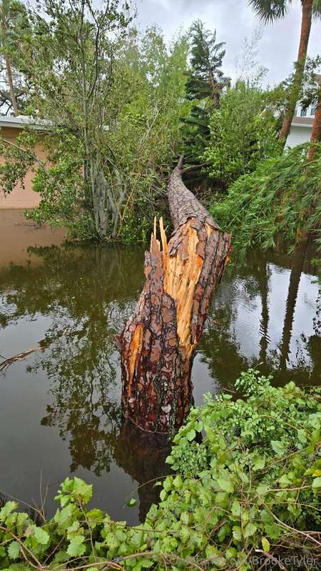 Things went well during the hurricane. I stayed home. Winds .. 6