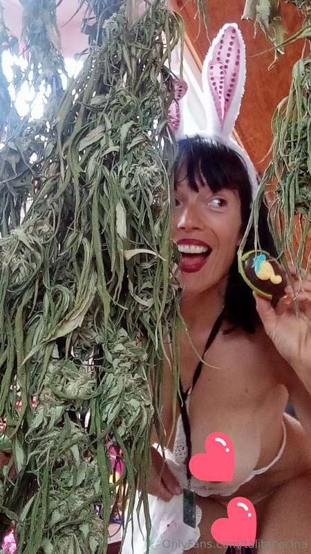 Felices Pascuas 420 👩‍🍳🌱🌱🌱💚💚La conejita y sus huevos mágicos.. 3