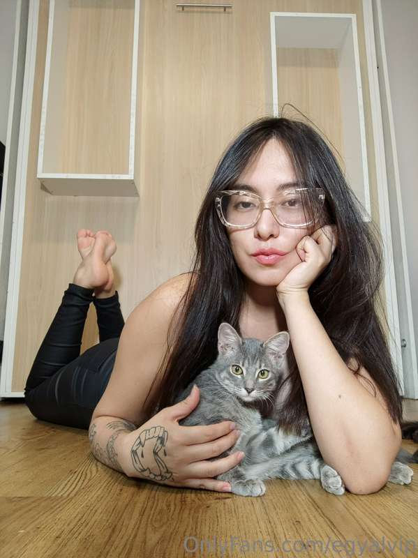 MINO SET CATS VOGUE 3