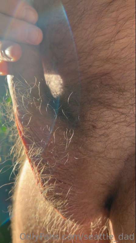 Here’s some sunlit musky fur for you. Get your face in there.. 4