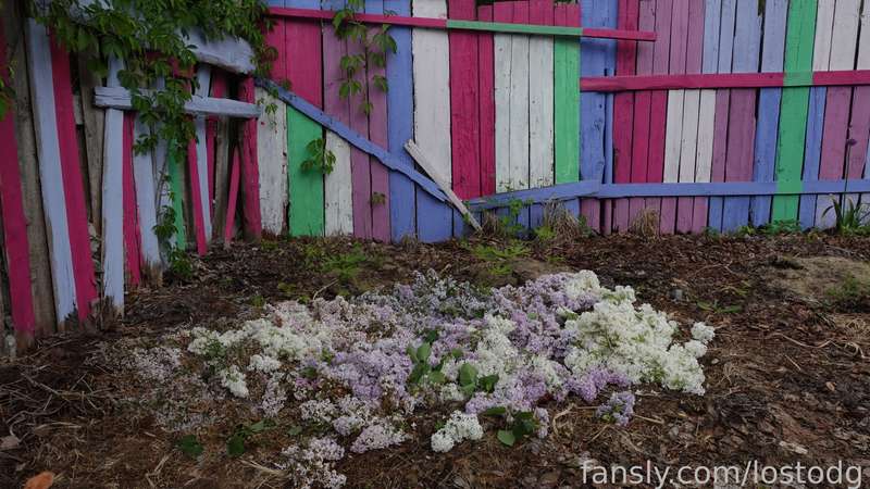 Lostodg - Fansly - 30 May, 2023 2
