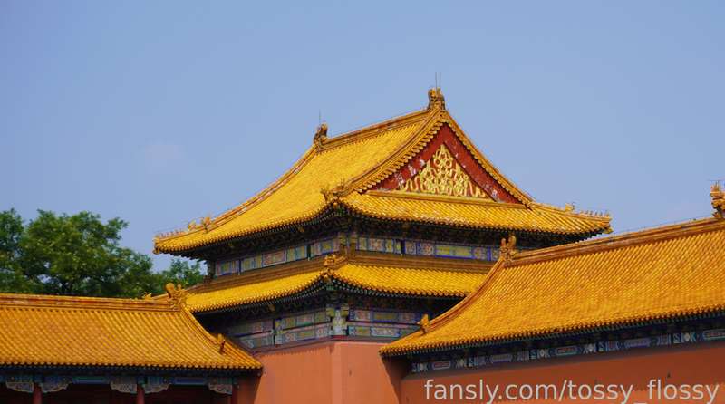 Tossy_Flossy - Fansly - 27 Aug, 2023 3