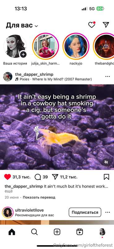 Love memes  6