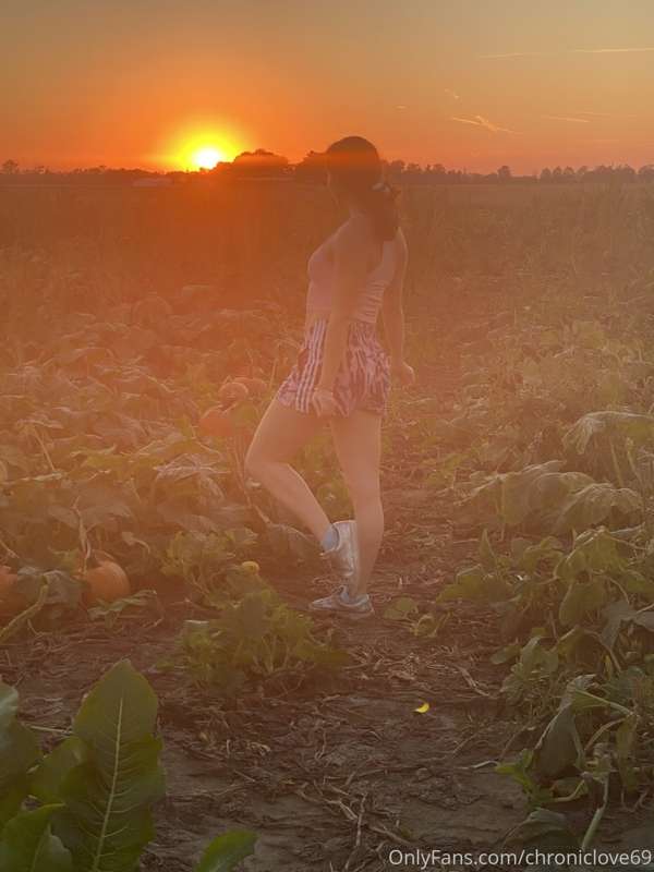 🍁🍂Me & some farmer’s pumpkins ;) 🎃 🍂

👀 Found this patch ran..