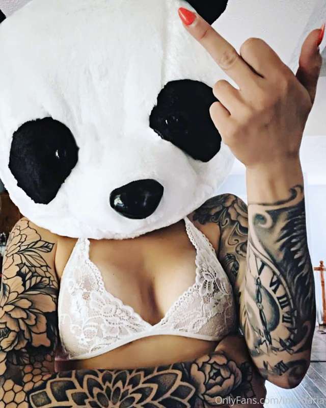 🐼🐼