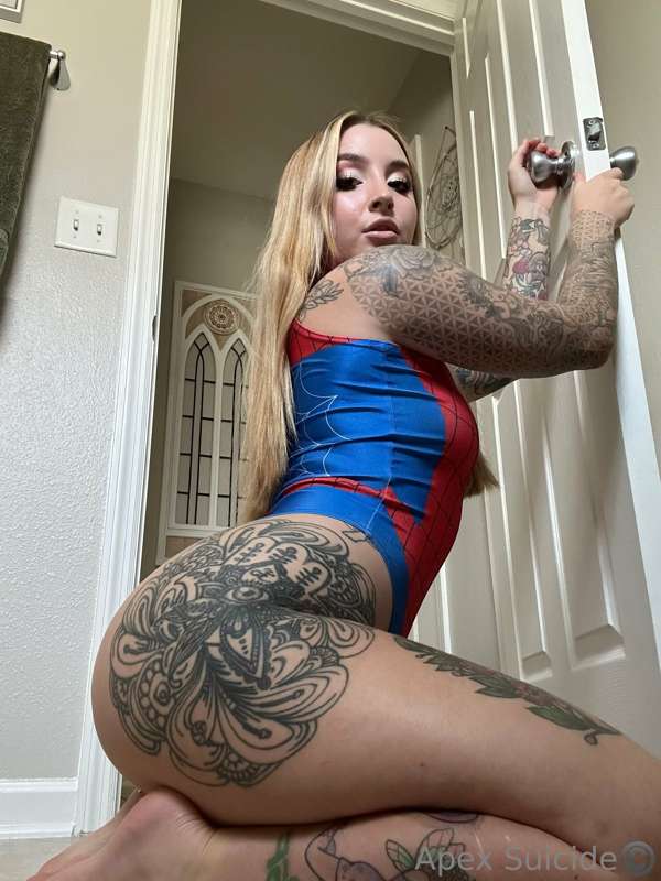 🕷️🕸️ 7