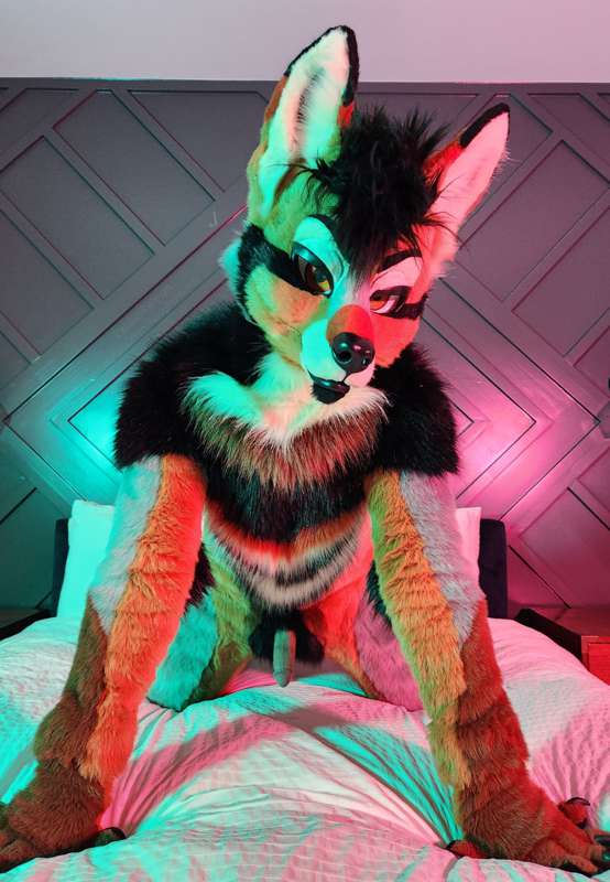 Yote ready for some play time 🐶💦   Come join?   He definitel.. 1