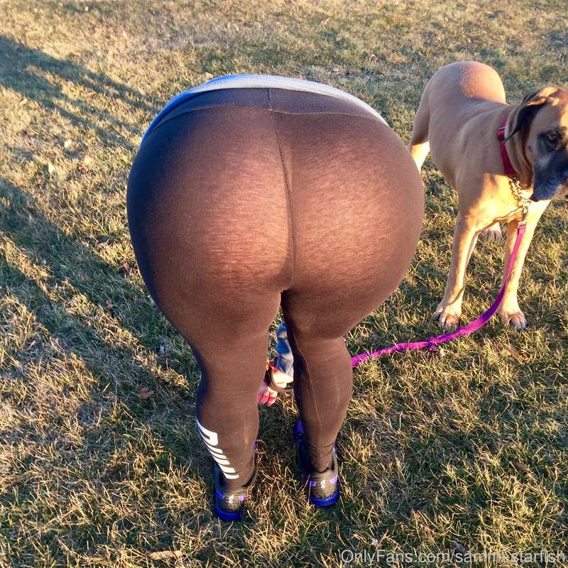 Taking the dog for a walk in the park 😉 13