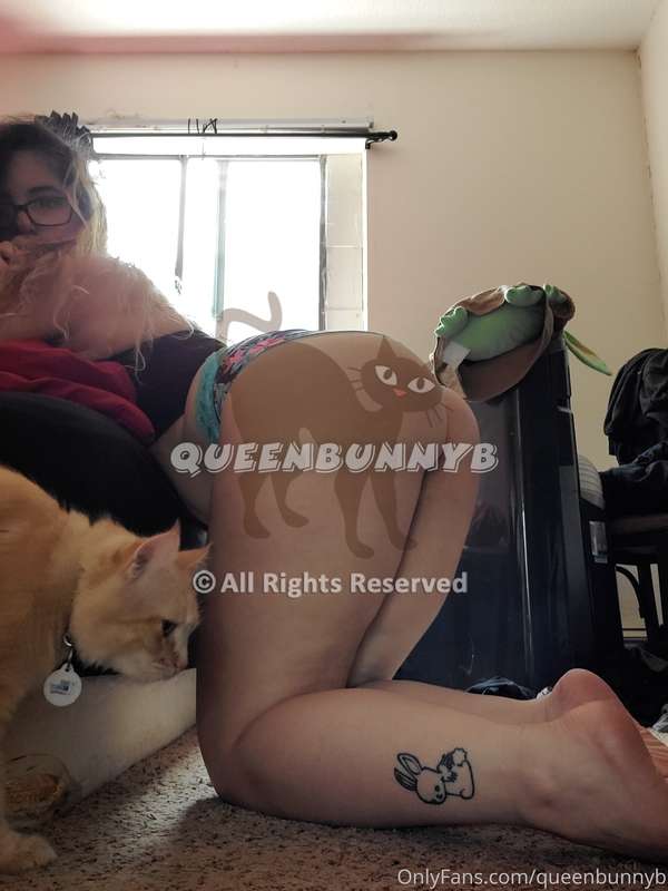 Pussy photo bomb