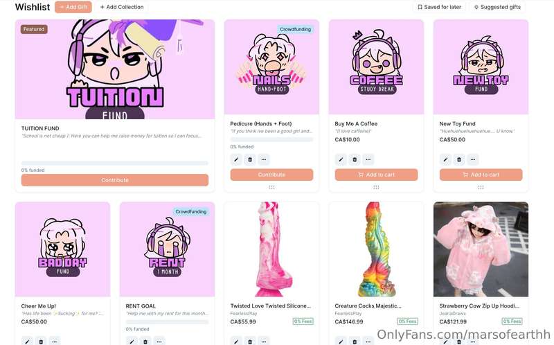 I made my Wishlist so cute 🥹 Tuition Fundraiser up now for e..