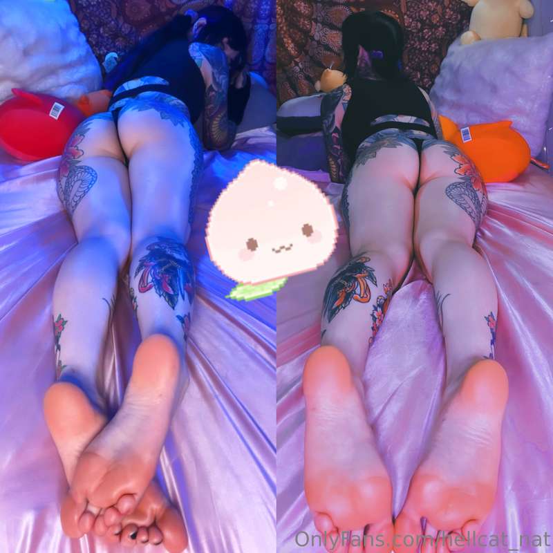 Good moaning! I took today off from the tattoo studio to cat..