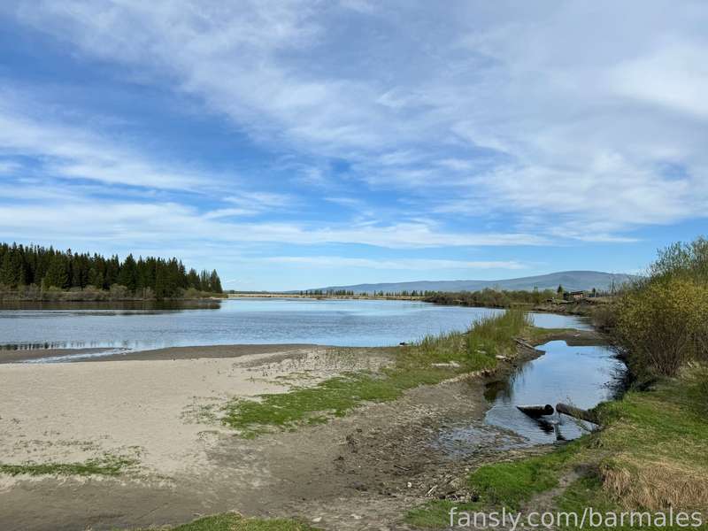Barmales - Fansly - 10 Jun, 2024 46