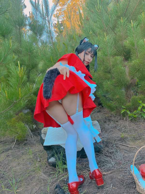 Miau , Me perdí en el bosque me ayudas a volver 🥺 1