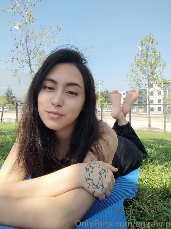 NEW SET 
